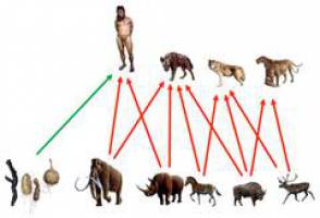 Neandertaler: Zu 20 Prozent Vegetarier