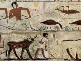 Seit Jahrtausenden beeinflusst der Mensch das Ökosystem