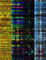 Stabile Wahrnehmung im erwachsenen Gehirn