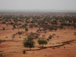 Warmes Mittelmeer lässt Sahel ergrünen