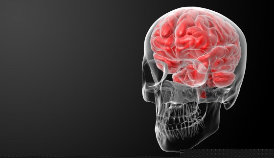 Das menschliche Gehirn ... 
		 � Illustration: Colourbox.de/Somkiat Fakmee