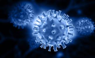 Warum manche Kinder nicht erkranken