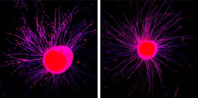 Zellen verschicken Stoppschilder