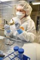 Altes �gypten: Erstmals gesamtes Erbgut von Mumien entziffert