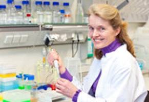 Babys werden mit gedrosseltem Immunsystem geboren