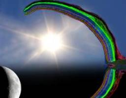 Bei Licht betrachtet: St�bchen in der Netzhaut funktionieren auch bei Tageslicht