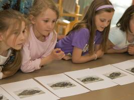 Ged�chtnis f�r Details reift bei Kindern nur langsam