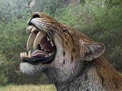 K�nstlerische Darstellung von Homotherium latidens. � Mauricio Ant�n