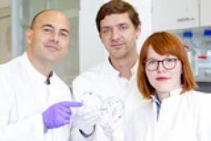 Innovation aus der MHH ist Basis f�r neue Fibrose-Therapie