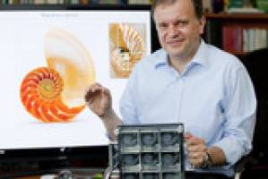 Viele Formen funktionieren