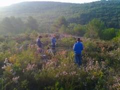 In automatisierten Unterst�nden im Garraf National Park bei Barcelona wurden Pfl