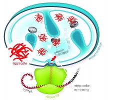 Zellulärer Stromausfall