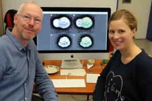 Biotechnologen entschlüsseln Struktur eines zentralen Fotosynthese-Molekülkomplexes: Mechanismus ermöglicht Pflanzen Anpassung an wechselnde Lichtbedingungen und schwankenden Energiebedarf