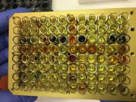 Chemists present new reaction path: Symmetrical cleavage of disulphides is fast and biocompatible