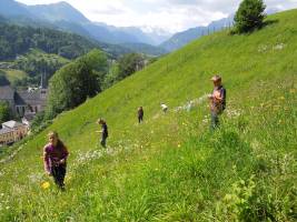 Erh�hte Motivation beim Unterricht in naturwissenschaftlichen F�chern im Freien  