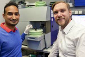 MicroRNAs steuern Krankheitsverlauf bei Leuk�mie