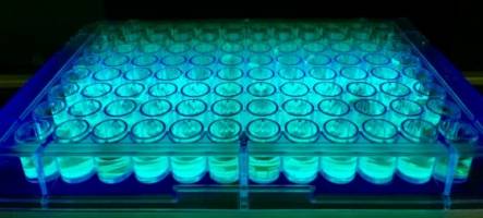 Chemiker helfen dem Zufall auf die Sprünge