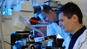 Jeder zweite bis dritte Todesfall vermeidbar