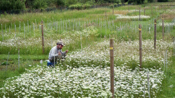 Jenaer Chemiker ist Deutschlands Hochschullehrer des Jahres 2019
