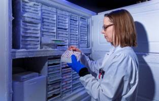 Kein Fortschritt ohne Frost