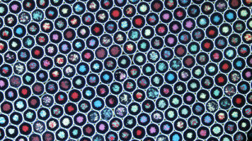 Wie sich Landnutzung auf Ökosysteme auswirkt