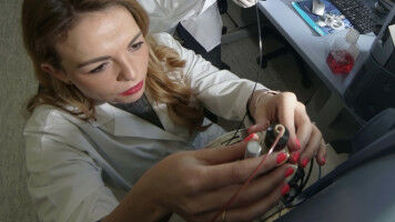 Wo Frege und Schiller lehrten