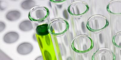 Activating palladium catalysis by light: teaching an old transition metal new tricks