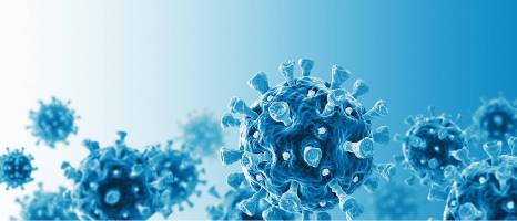 Antidepressivum hemmt Coronavirus