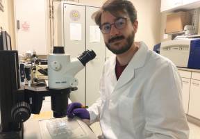 Antivitamine als neue Antibiotika