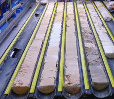 Asteroid l�ste Massenaussterben am Ende der Kreidezeit aus