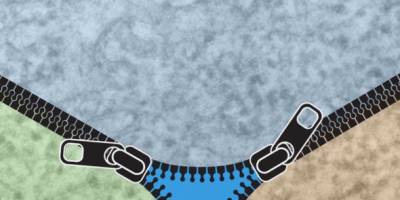 Aufbau der Barriere zwischen drei Zellen entschlüsselt