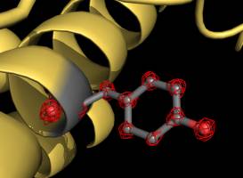 Aufl�sungsweltrekord in der Kryo-Elektronenmikroskopie