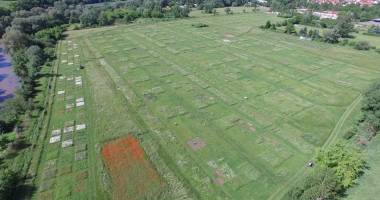 Biodiversität: Erkentnisse von künstlichen Versuchsflächen sind valide