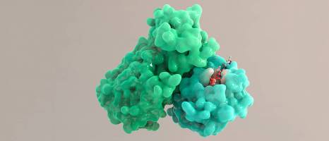 Corona: Auf der Suche nach der Schwachstelle