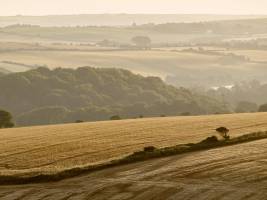 Der Boden soll das Klima retten