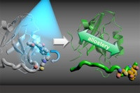 Informationen der Proteine: Eine Unterbrechung in diese Kopplung, der Allosterie