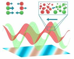 Die Ordnung des Lebens