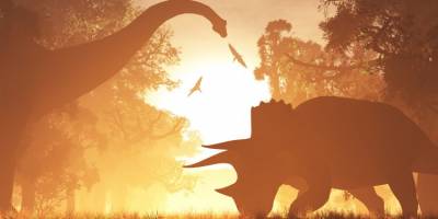 Dinosaurier starben wegen eines Asteroideneinschlags aus