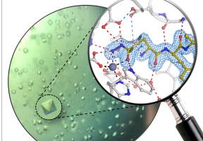 Ein chemischer Ma�anzug f�r das Alzheimer-Medikament