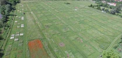 Erkenntnisse aus Versuchsflächen zur Bio-Vielfalt sind valide