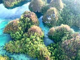 Forscher weisen die reichste Inselflora der Welt nach