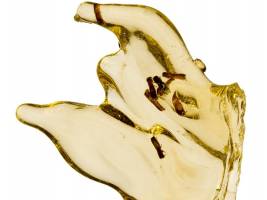 Im Baumharz ,,unsterblich