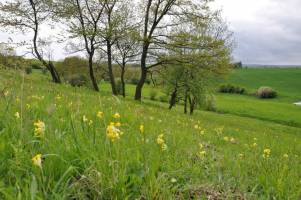 Intensive Land Management Impairing Ecosystem Interactions