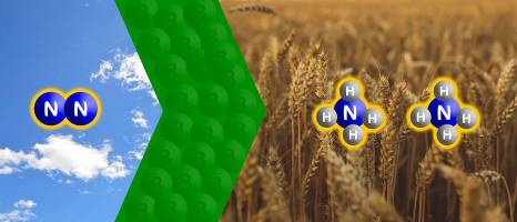 Mit Bor und Bier Stickstoff reduziert