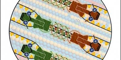 Molekularer Schwarm baut Oberflächenstrukturen Atom für Atom um: Aktuelle Studie