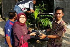 More diversity needed in oil palm plantations