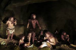 Neandertaler besa�en niedrigere Schmerzschwelle
