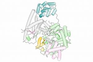 Neuer Wirkstoff hemmt das Wachstum von Krebszellen