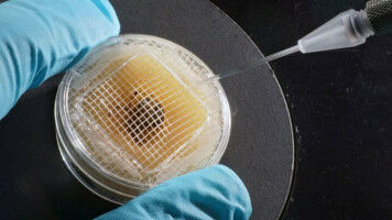 New experiment design improves reproducibility