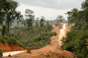 Reforestation can only partially restore tropical soils